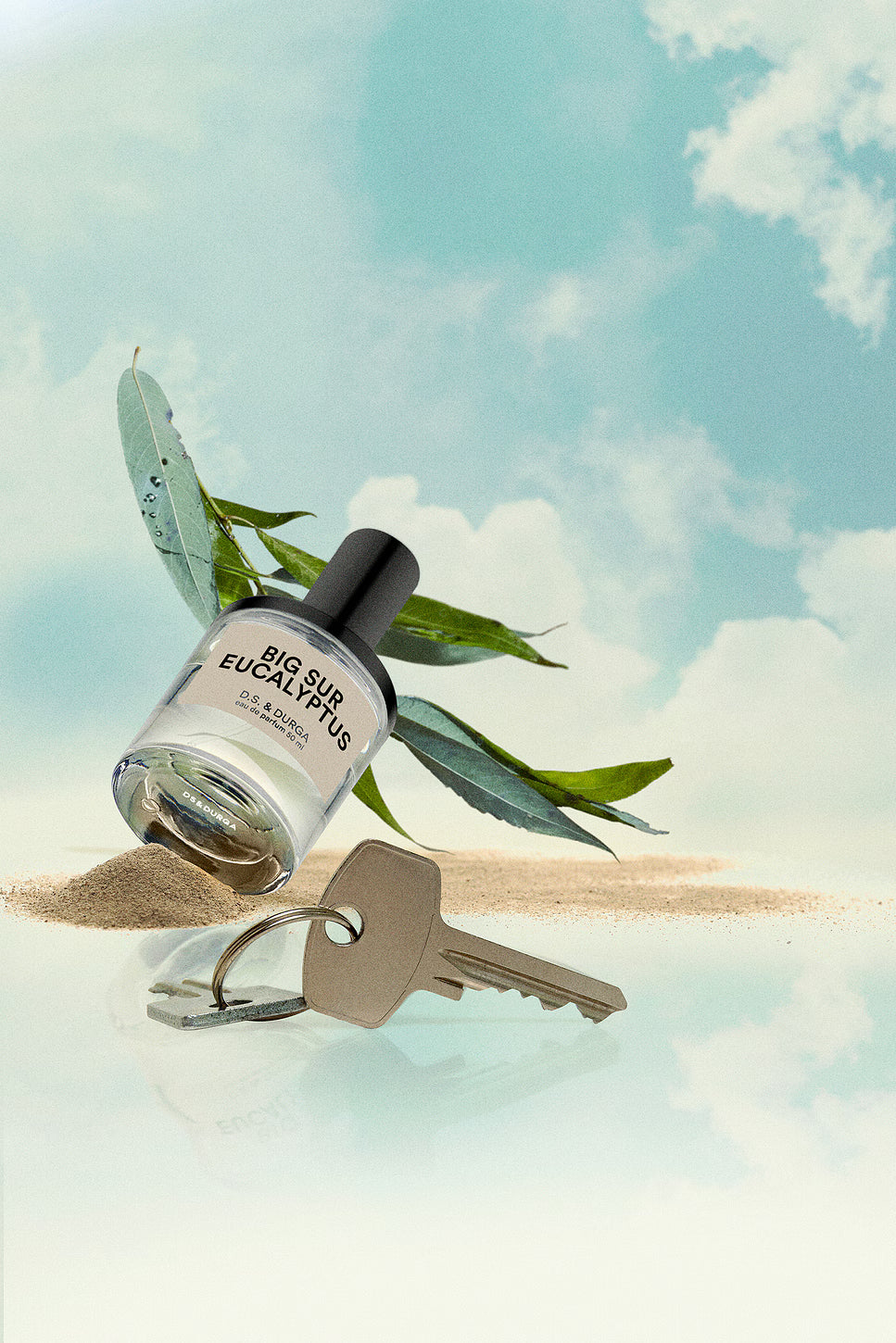 BIG SUR EUCALYPTUS, 50mL