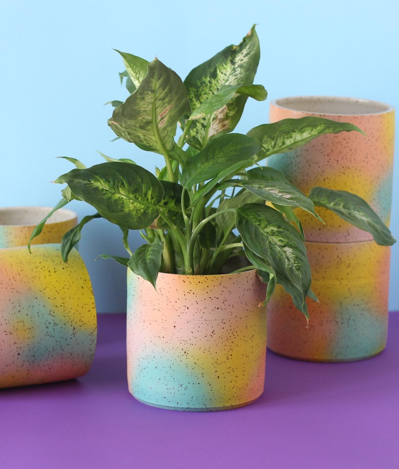 COLOR CLOUD PLANTER