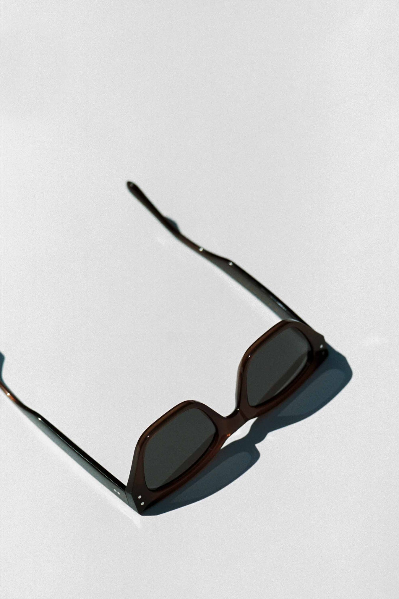 MEMPHIS SUNGLASSES - CHOCOLATE