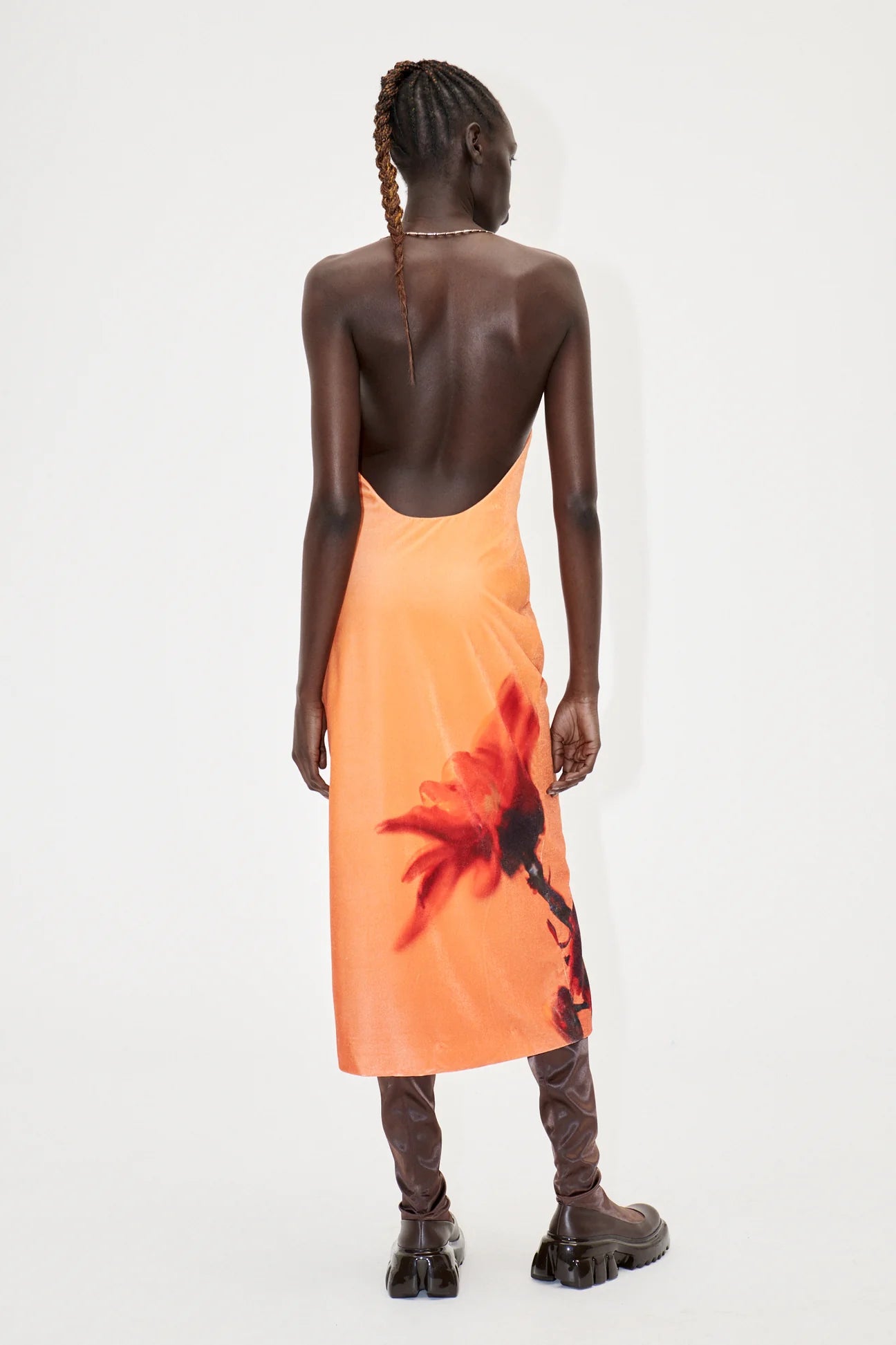 FLOWERS GROWING UNDER ORANGE WATER