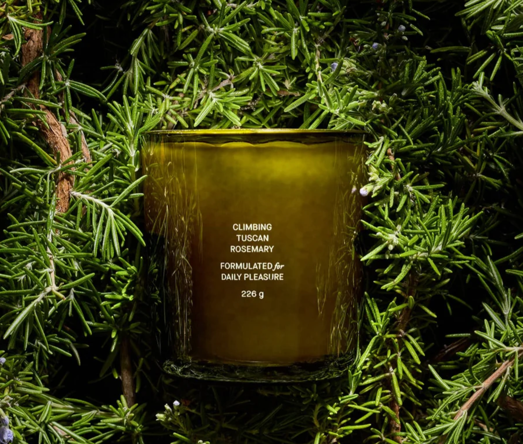 CLIMBING TUSCAN ROSEMARY CANDLE - 8 OZ