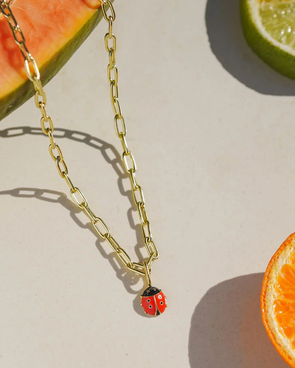 LADYBUG CHARM